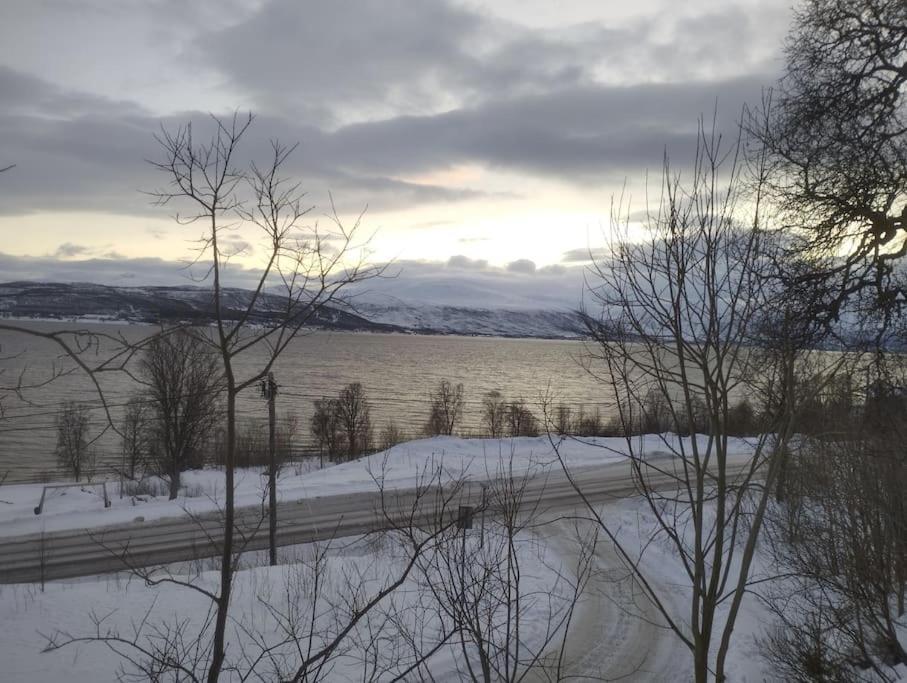 Apartment In Tromso With Sea And Mountain View Dış mekan fotoğraf