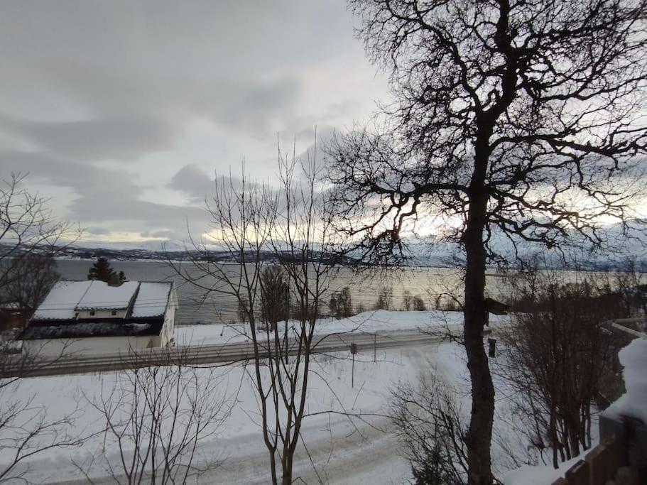 Apartment In Tromso With Sea And Mountain View Dış mekan fotoğraf